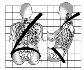 How to Wear Seat Belts Properly 