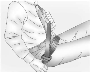 Lap-Shoulder Belt