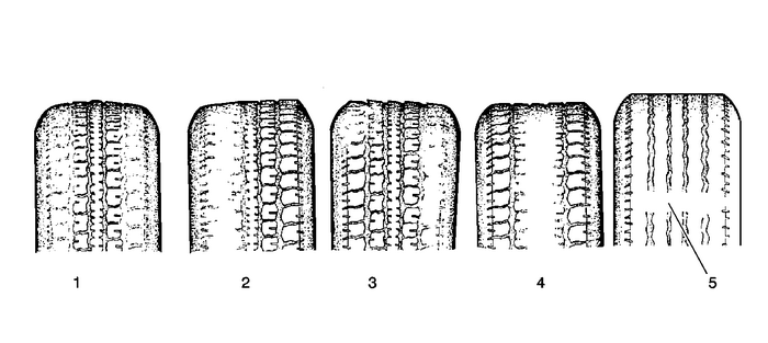 Tire and Wheel Inspection   